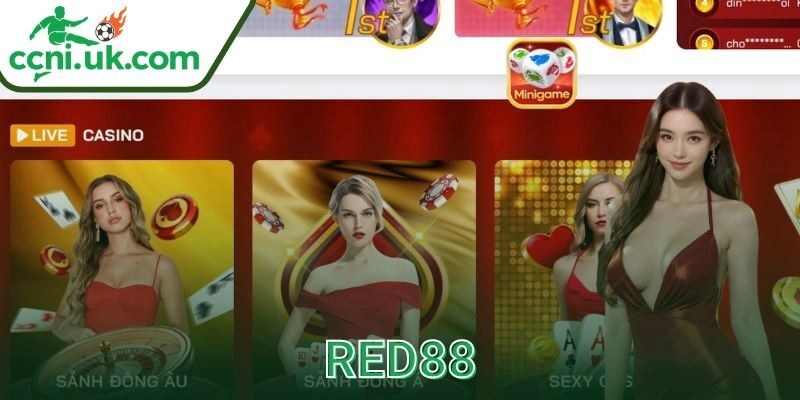 Nền tảng cá cược đang làm gì để nổi bật?