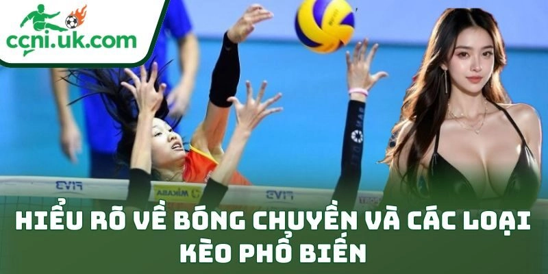 Hiểu rõ về bóng chuyền và các loại kèo phổ biến