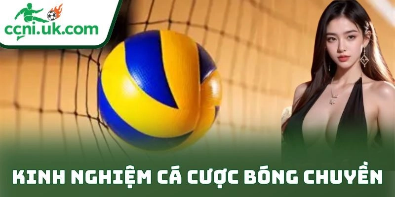 Kinh Nghiệm Cá Cược Bóng Chuyền Thực Chiến Cho Dân Chơi