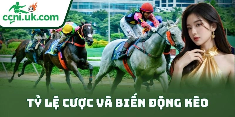 Tỷ lệ cược và biến động kèo