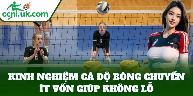 Kinh Nghiệm Cá Độ Bóng Chuyền Ít Vốn giúp không lỗ