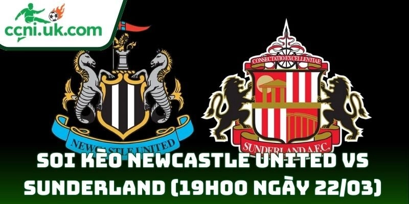 Newcastle United vs Sunderland